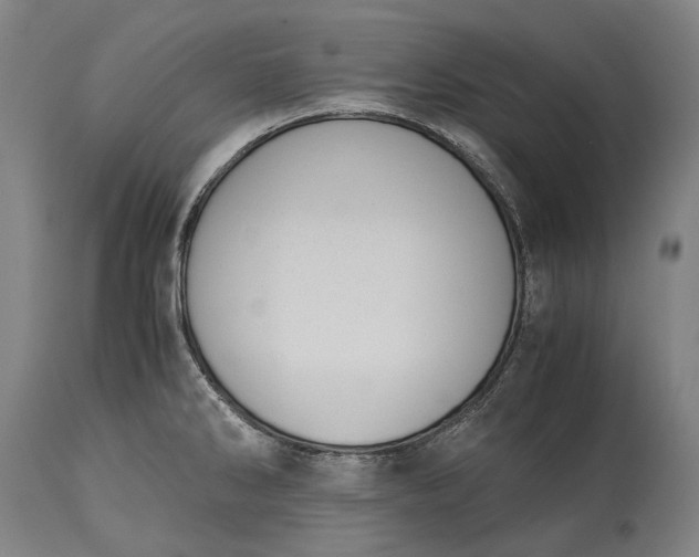 X0000115311286200911161712