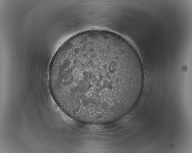 X0000115311287200911161712