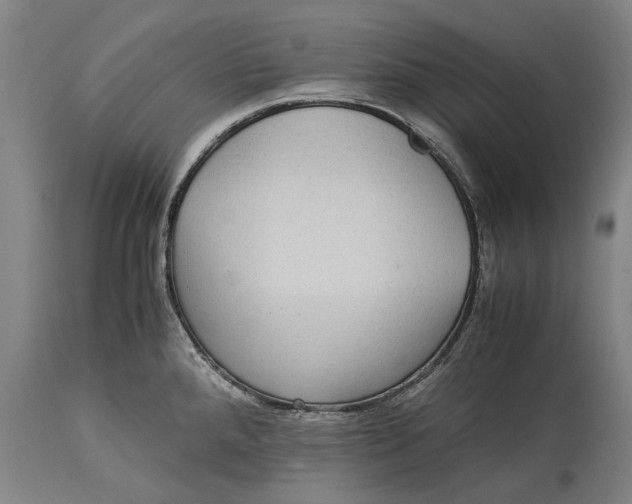 X0000115311288200911161712