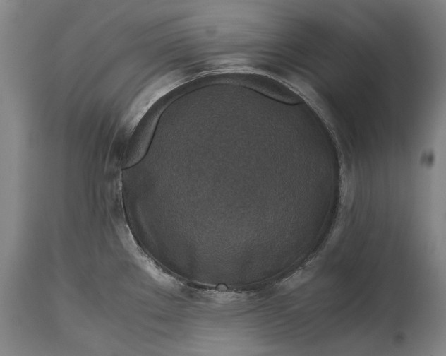 X0000115311289200911161712