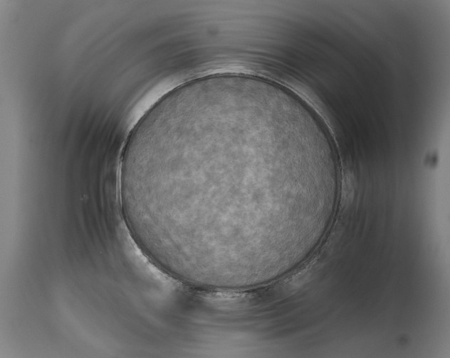 X0000115311290200911161712