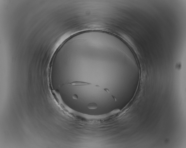 X0000115311291200911161712