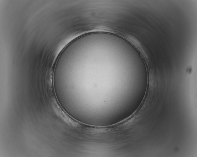 X0000115311292200911161712