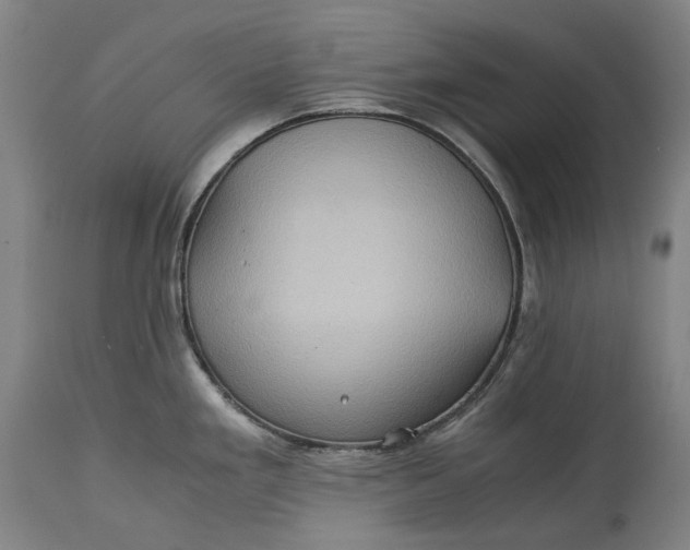 X0000115311293200911161712