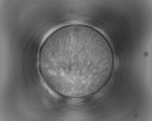 X0000115311294200911161712