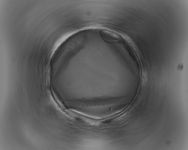 X0000115311295200911161712