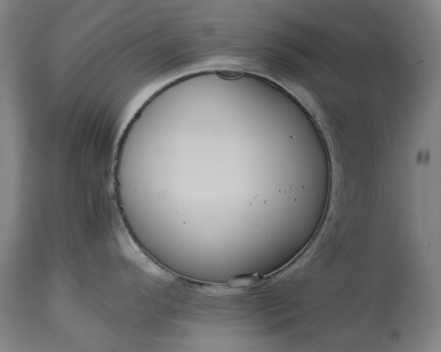 X0000115311296200911161712