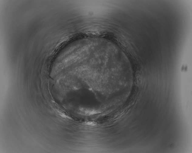 X0000115311297200911161711