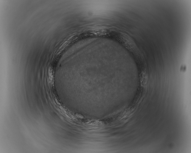 X0000115311298200911161711