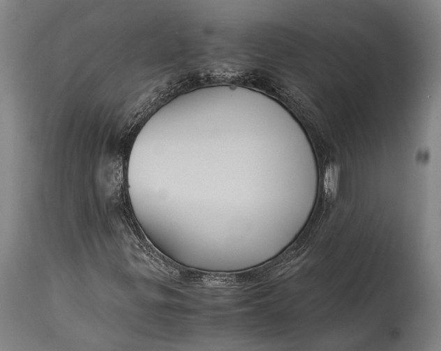 X0000115311299200911161712