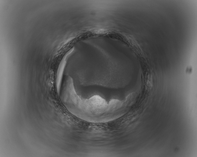 X0000115311301200911161712