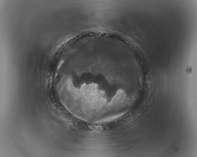 X0000115311302200911161712