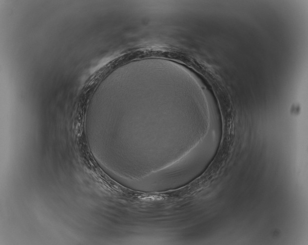 X0000115311303200911161712