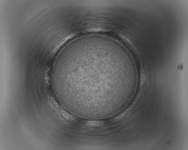 X0000115311305200911161712