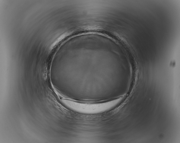 X0000115311306200911161712