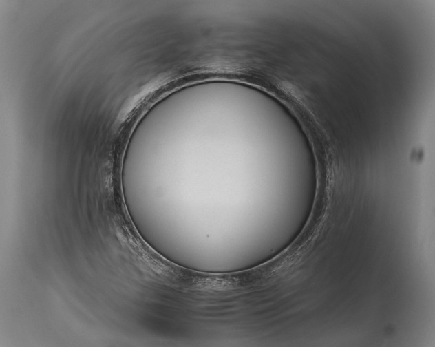 X0000115311307200911161712