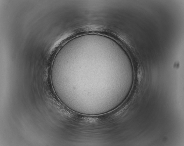 X0000115311309200911161712