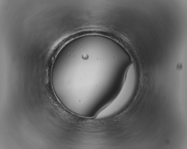 X0000115311310200911161712