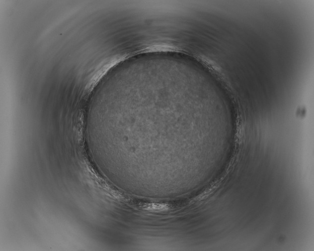 X0000115311313200911161712