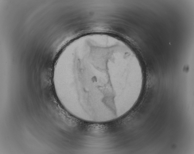 X0000115311314200911161712