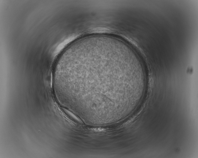 X0000115311317200911161712