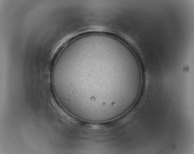 X0000115311318200911161712