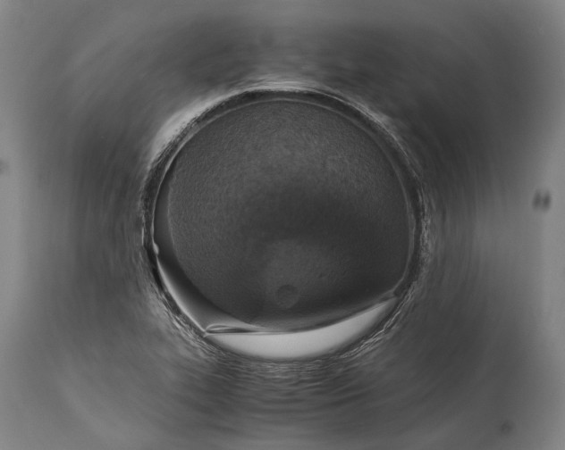 X0000115311319200911161712