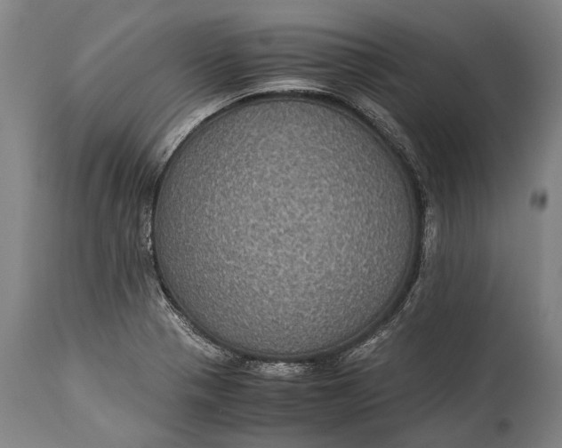 X0000115311321200911161712