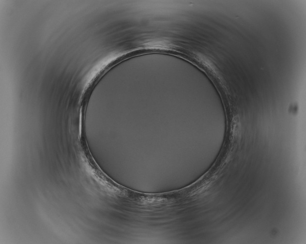 X0000115311323200911161712