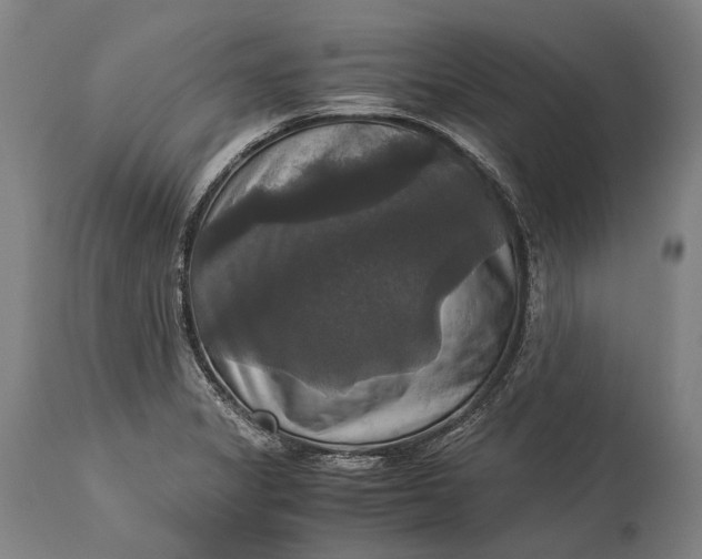 X0000115311325200911161712