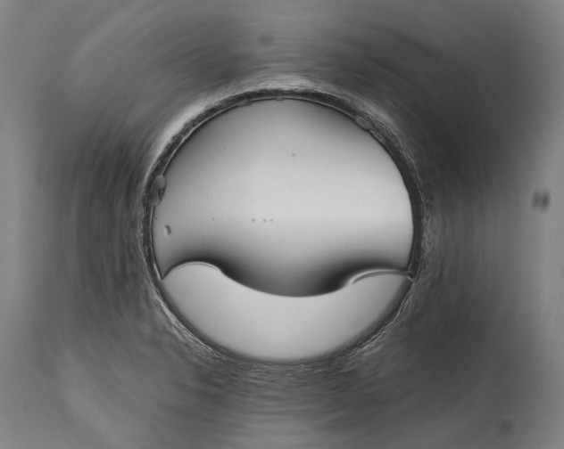 X0000115311326200911161712