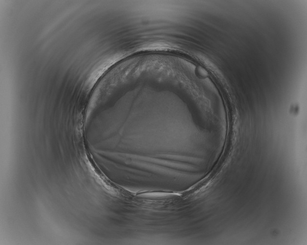 X0000115311329200911161712