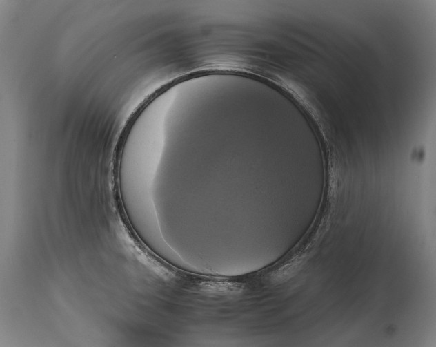 X0000115311331200911161712