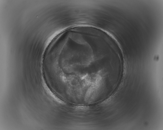 X0000115311333200911161712