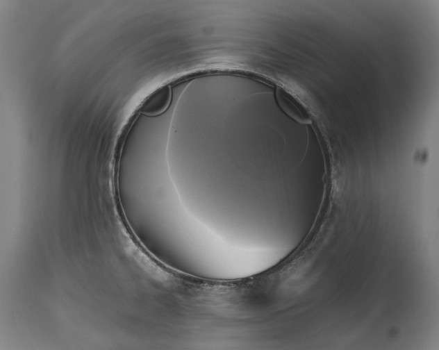 X0000115311334200911161712