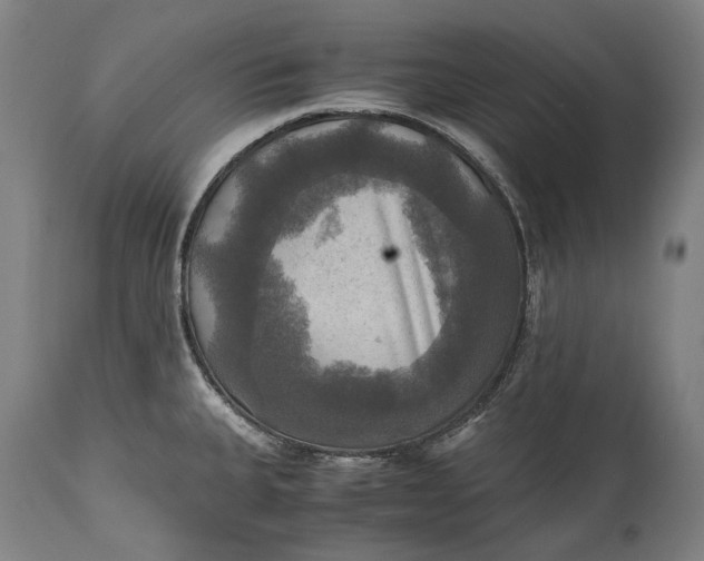 X0000115311335200911161712