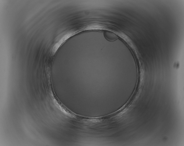 X0000115311337200911161712