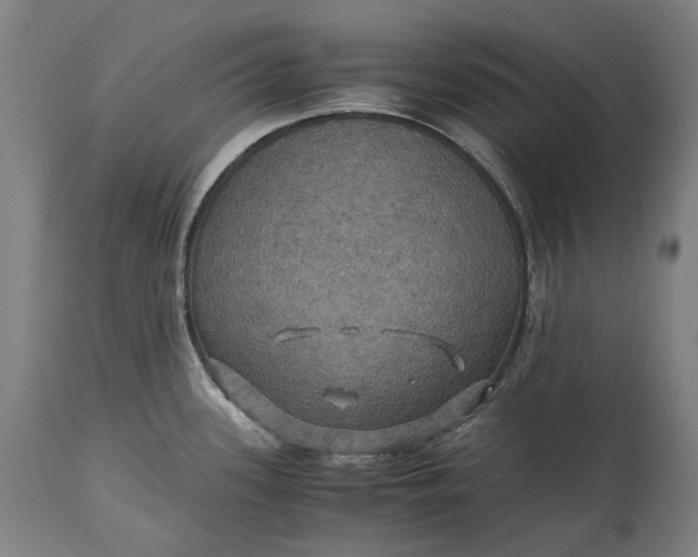 X0000115311339200911161712