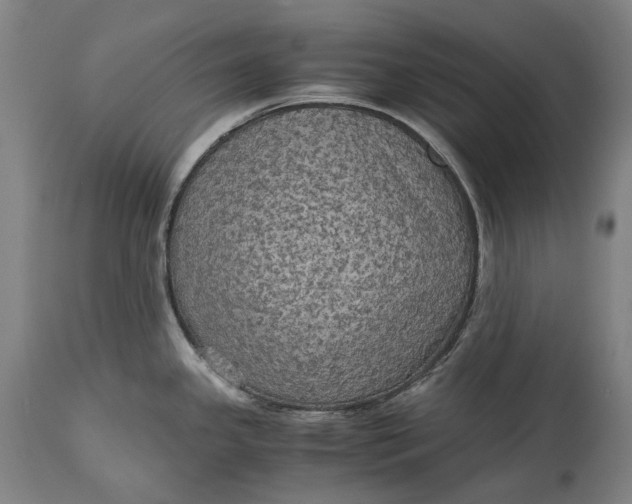 X0000115311341200911161712