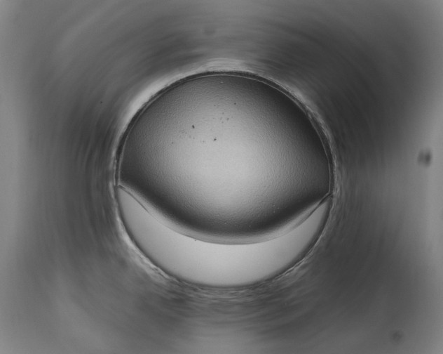 X0000115311342200911161712