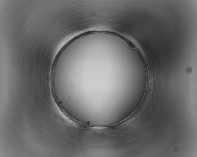 X0000115311343200911161712