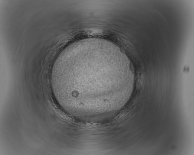 X0000115311345200911161711