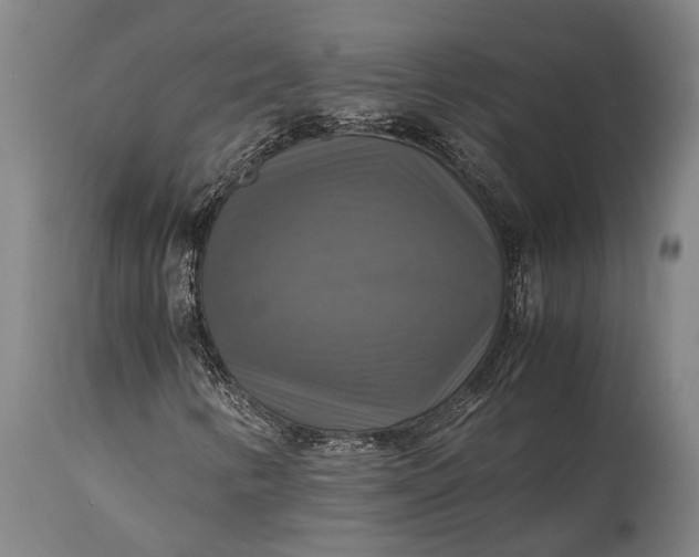 X0000115311346200911161711