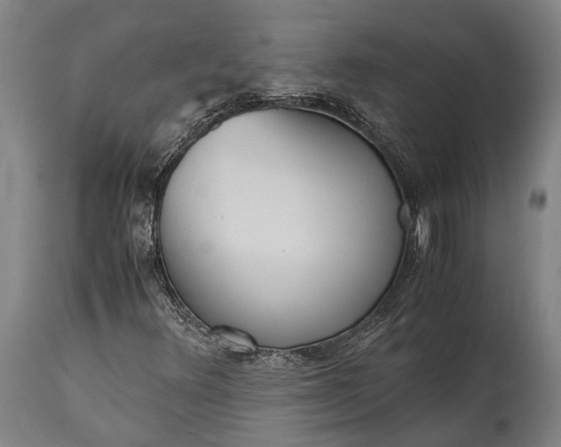 X0000115311348200911161711