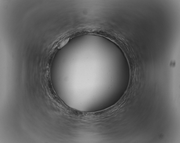 X0000115311349200911161711