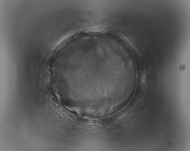 X0000115311350200911161711