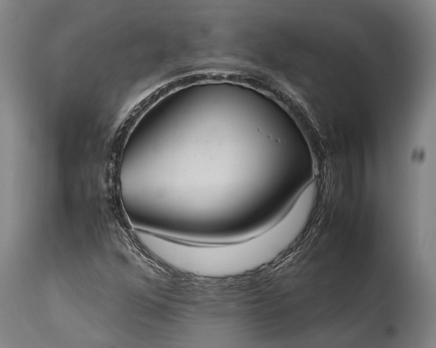 X0000115311352200911161711