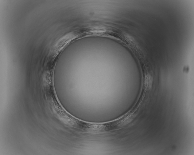 X0000115311353200911161711