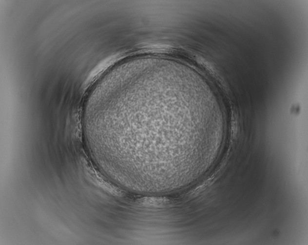 X0000115311354200911161711