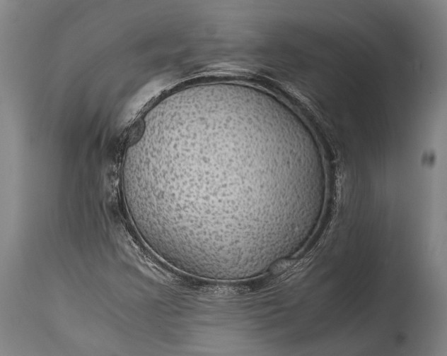 X0000115311355200911161711